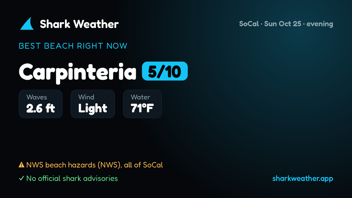 Shark Weather, as it opens in a browser tab